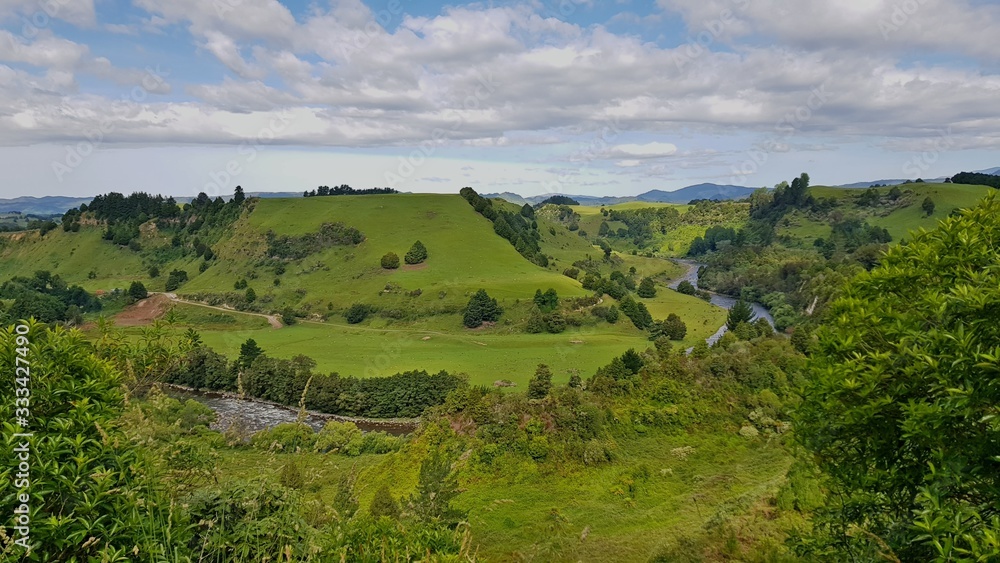 Panoramic view on a river valley Mangaokewa reserve, New Zealand