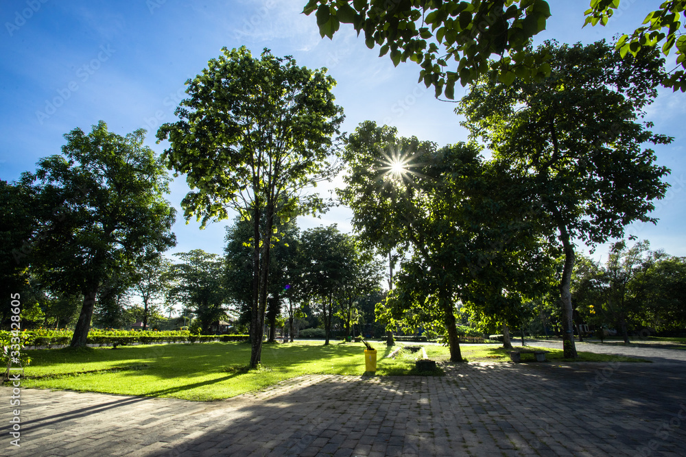 sunbeams in the morning is good for your skin