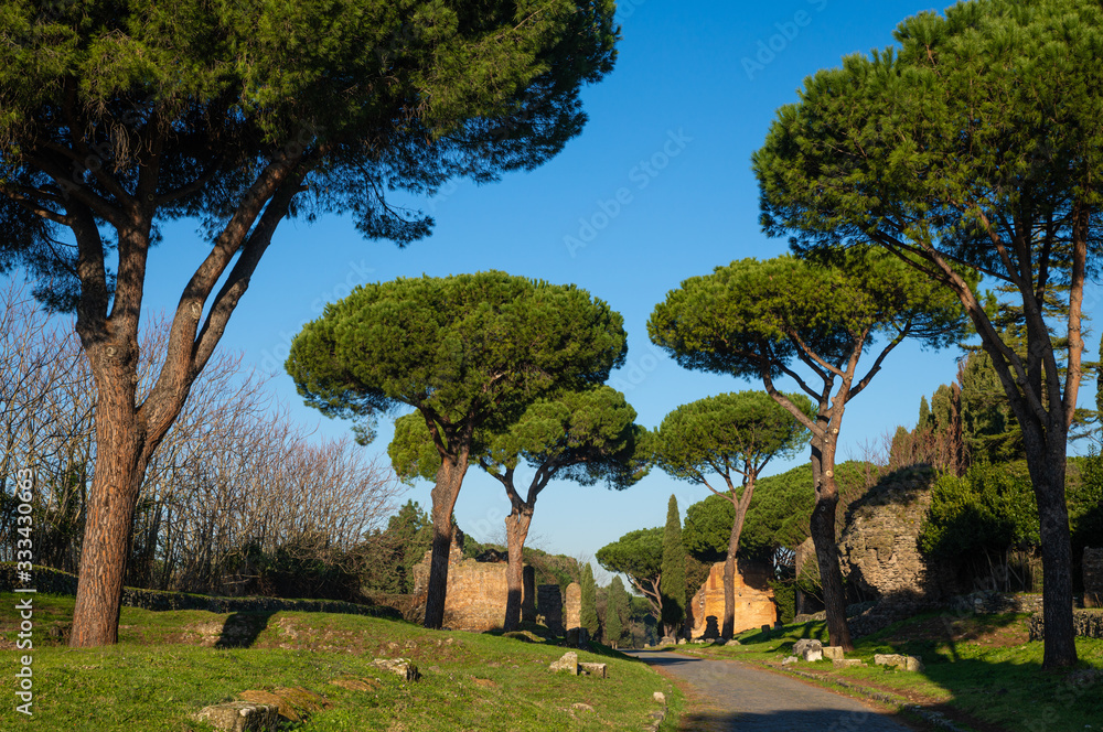 Obraz premium A stretch of the Appian Way, one of the most important streets of the Roman Empire. It was called Regina Viarum by the Latins. This road connected Rome to Brindisi, an important port onuments