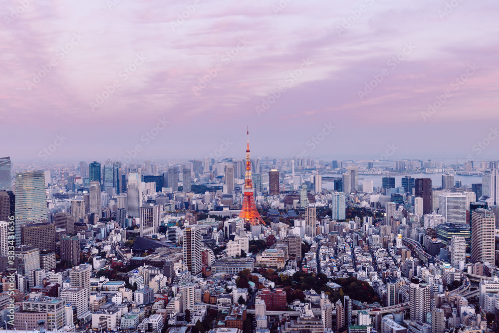 Tokyo aerial view