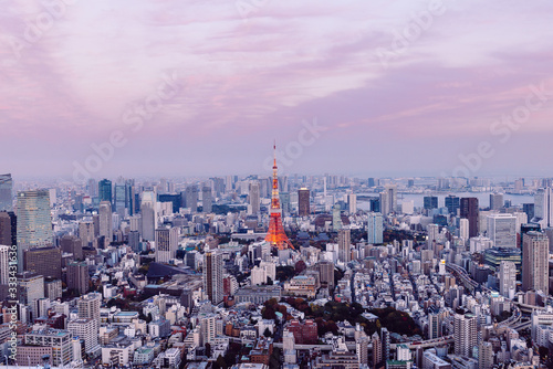 Tokyo aerial view