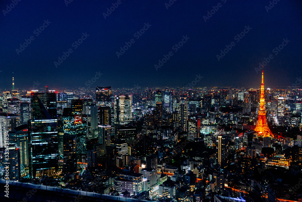 Tokyo aerial view