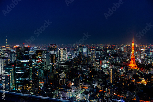 Tokyo aerial view © Giacomo