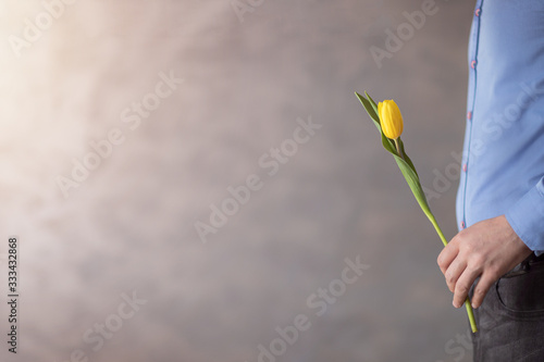 Jeden żółty tulipan trzymany w ręce przez mężczyzne