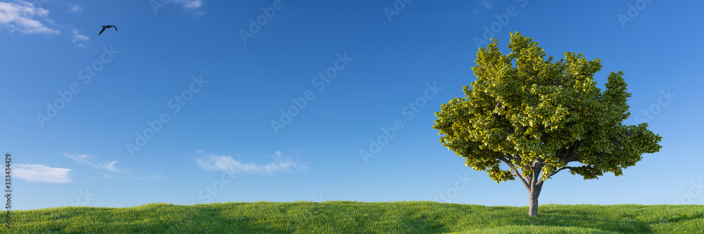 Landschaft mit grüner Wiese mit Baum und Himmel Landschaft mit grüner Wiese mit Baum und Himmel