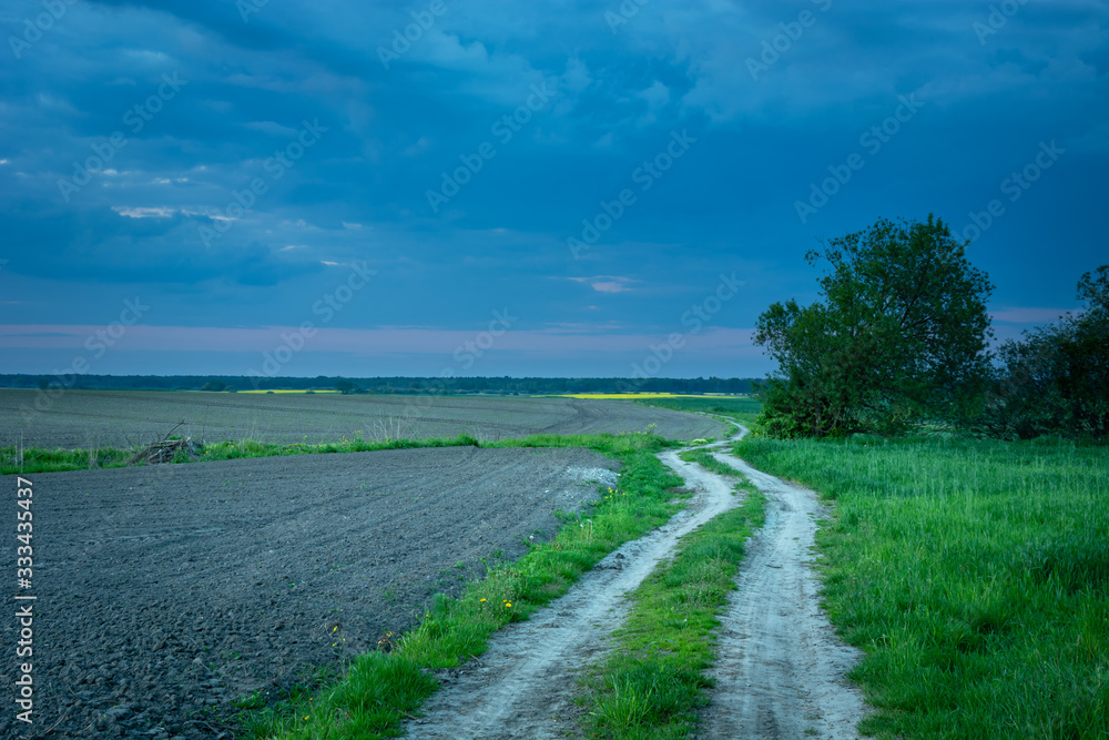 Dirt road through fields, trees and green grass