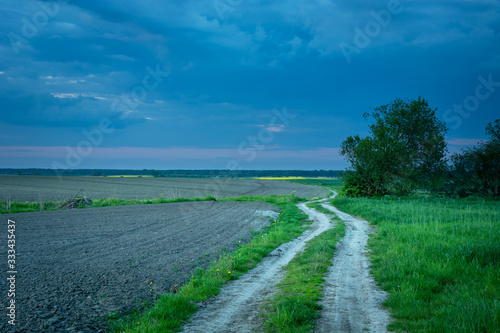 Dirt road through fields  trees and green grass