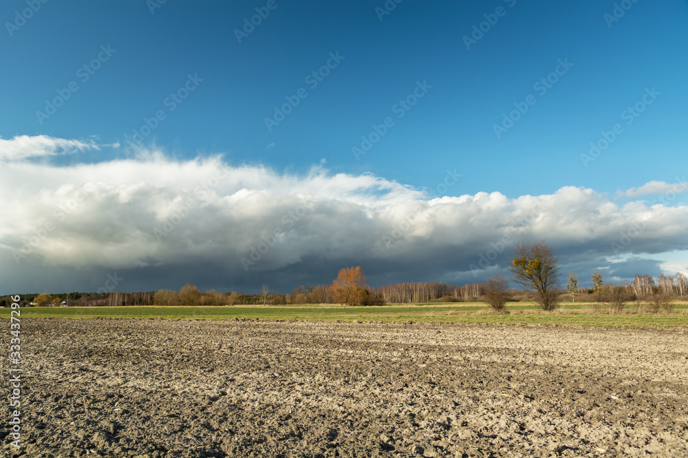 Cloud coming over a plowed field, forest on the horizon