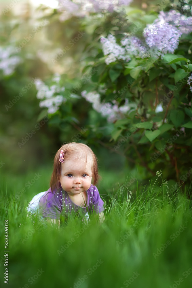 little girl crawling sitting in the grass at the lilac Bush, spring has come, cute baby, may, flowering little girl crawling sitting in the grass at the lilac Bush, spring has come, cute baby, may, flowering