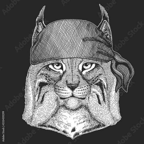 Lynx, bobcat, trot portrait. Bandana. Biker, pirate. Head of wild cat. Animal face.