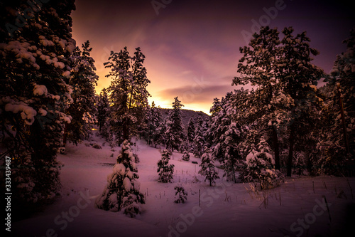 Foto Long exposure photograph of fresh spring snow blanketing the trees and hillsides