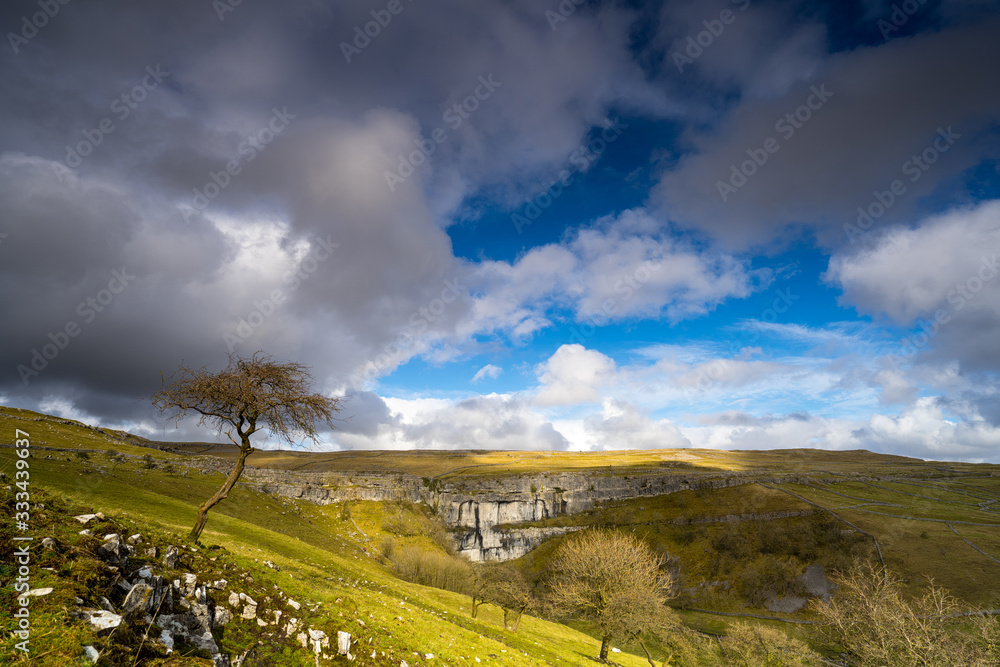 A lone tree looks over the spectacular Malham Cove, Malham, Yorkshire National Park.