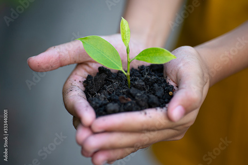 Child holding soil with green plant in hands on blurred background