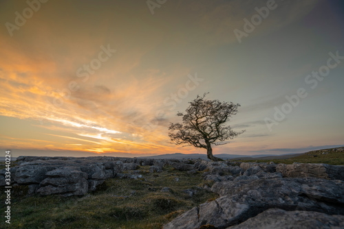 A tree sits on Winskill Stones above settle , North Yorkshire