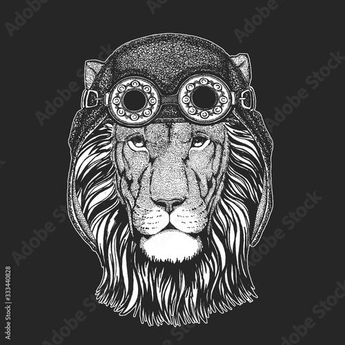 Lion head. Aviator leather helmet. Wild animal portrait. Face of african cat.