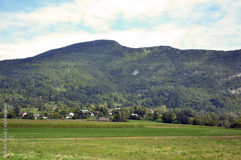 Novalaise, France - September 19th 2014 : Hamlet with a corn field, and a mountain in background. It is in the french Alps. The place is very green.