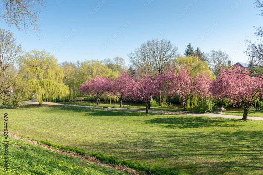 Fototapeta premium Niemcy, Dolna Saksonia, Fryzja Wschodnia, Emden, Park Emder Wall i fosa miejska.