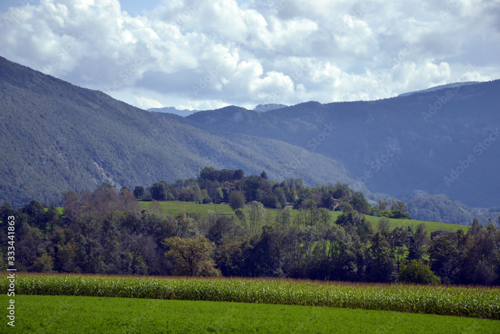 Several fields, with one with corn. There is also forets, and big mountains on background. It is the french Alps.