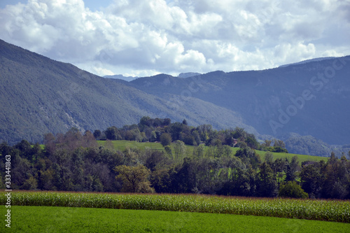 Several fields, with one with corn. There is also forets, and big mountains on background. It is the french Alps.
