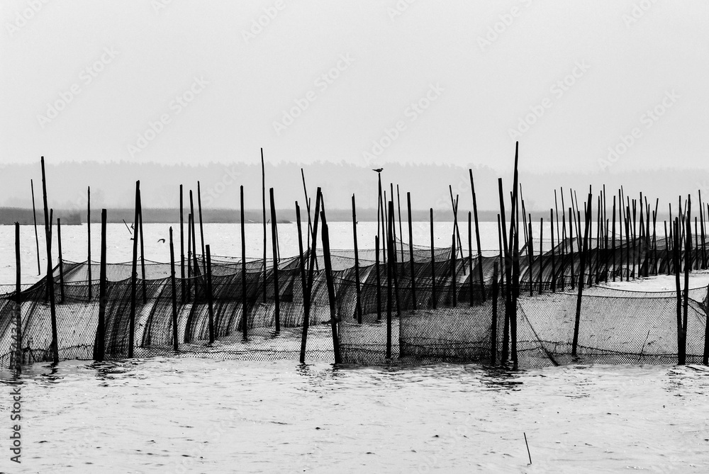 Fishing nets - Łebsko Lake, Pomeranian Voivodeship, Poland