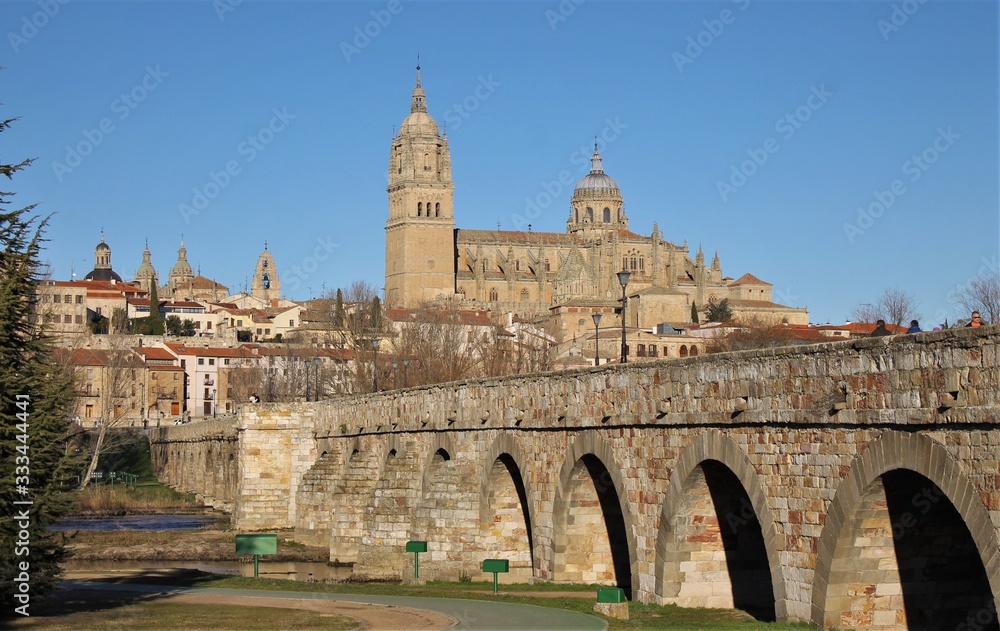 View of the roman bridge and the cathedral of Salamanca, Spain