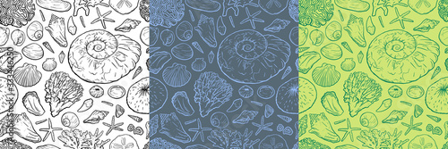 Hand draw seanless pattern with sea shells, ammonite, stars corals and pearls different shapes. for girls, boys, clothes. Funny Ocean wallpaper for textile and fabric. Paleontology style