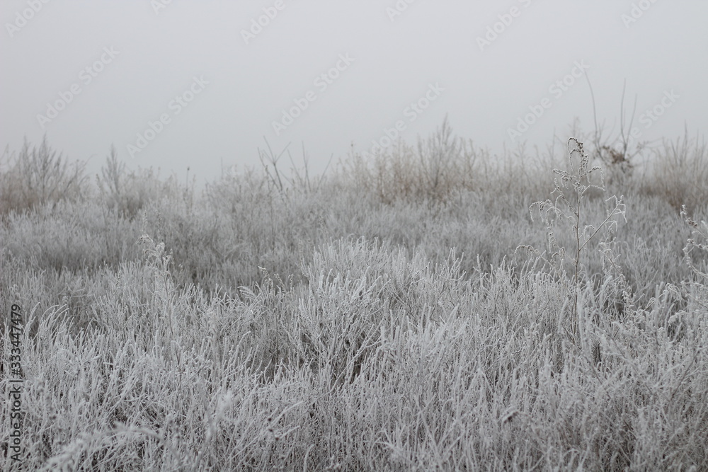 Obraz premium Иней и туман