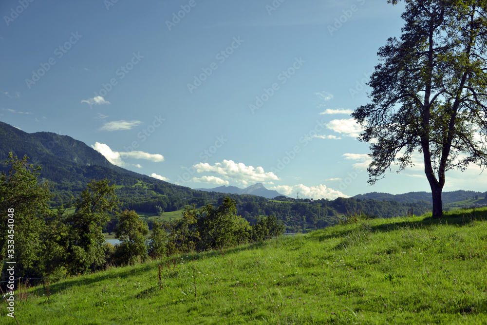 View of a beautiful green grass field, on the top of a hill, near the Aiguebelette lake and his alpine mountains.