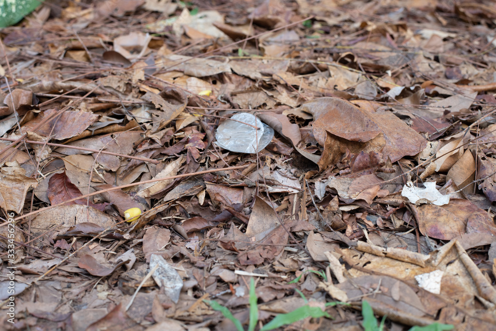 autumn leaves on the ground autumn leaves on the ground