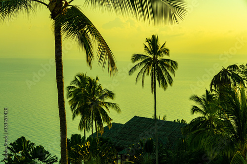 Night panorama in Ko Samui  colorful background of palms trees