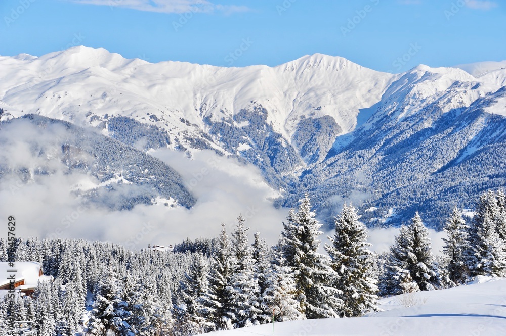 Snowy mountain with pine trees in winter 