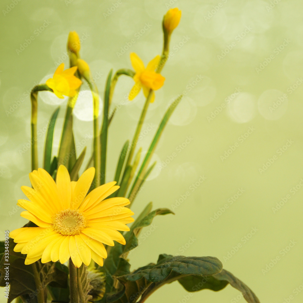 Fresh yellow flowers. Spring concept