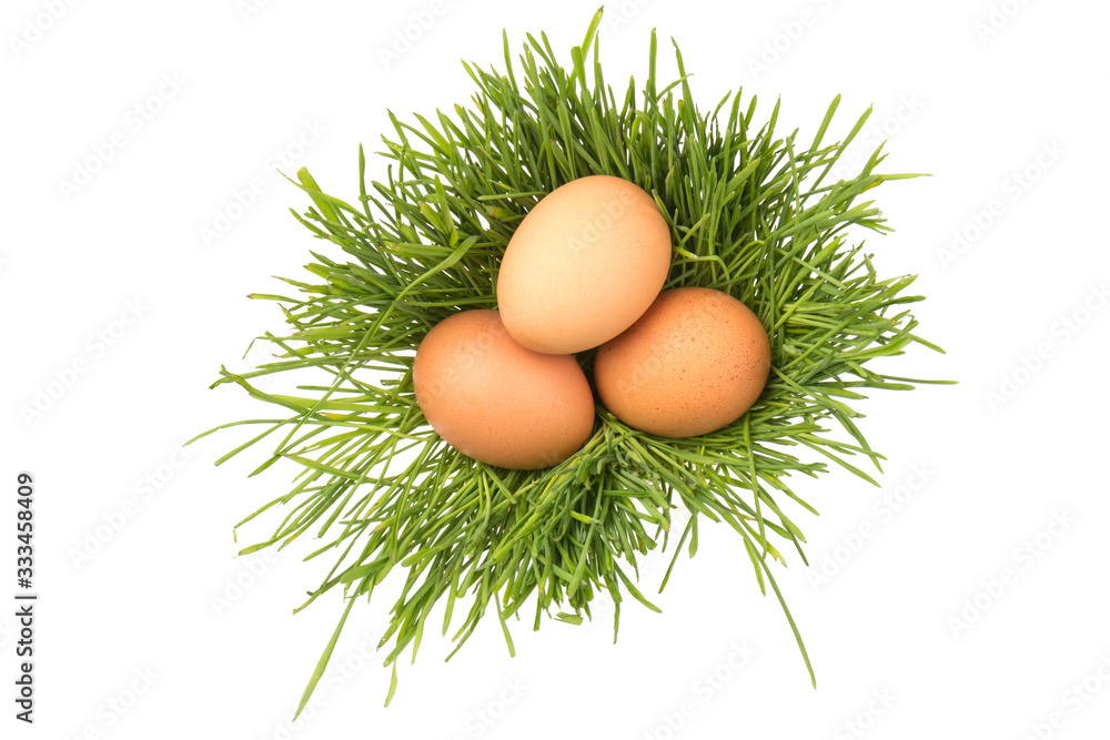Brown eggs on green grass, isolated on white background. Brown eggs on green grass, isolated on white background.