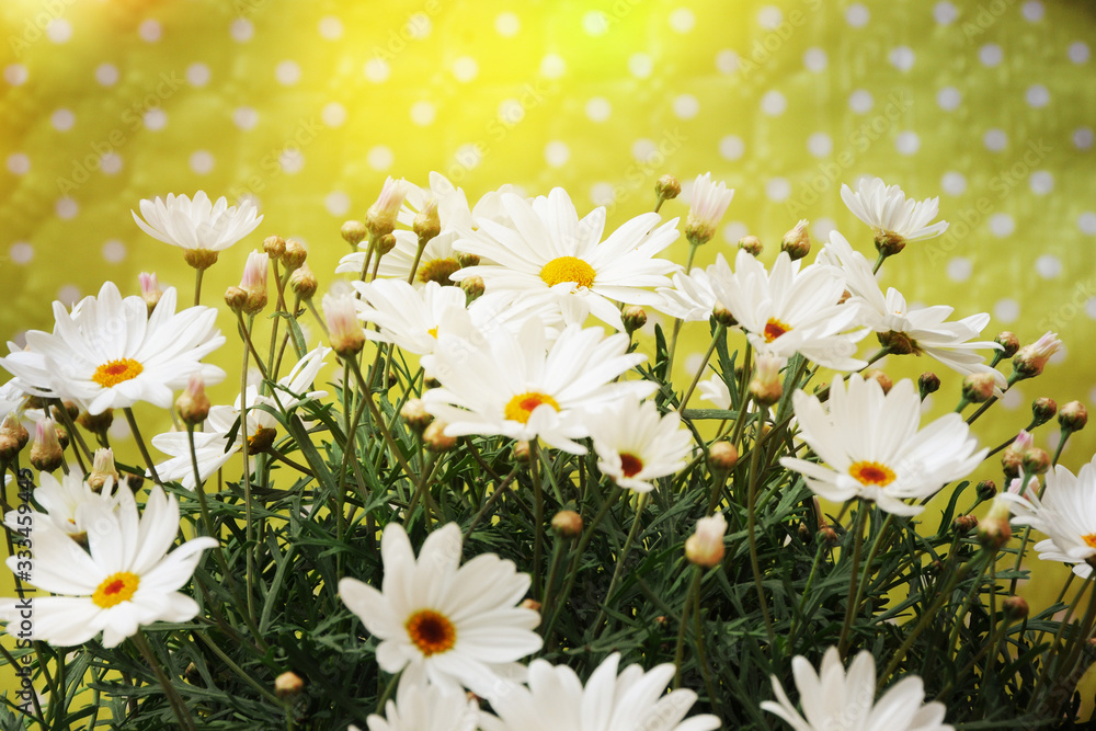 Obraz premium Spring garden