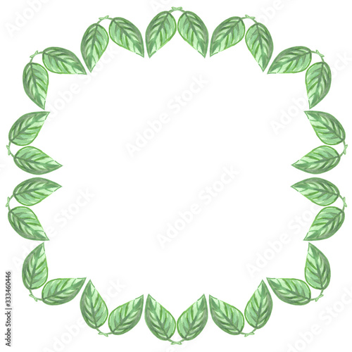 freshness green leaves round frame