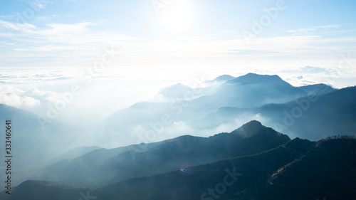 Sequoia National Park Landscape