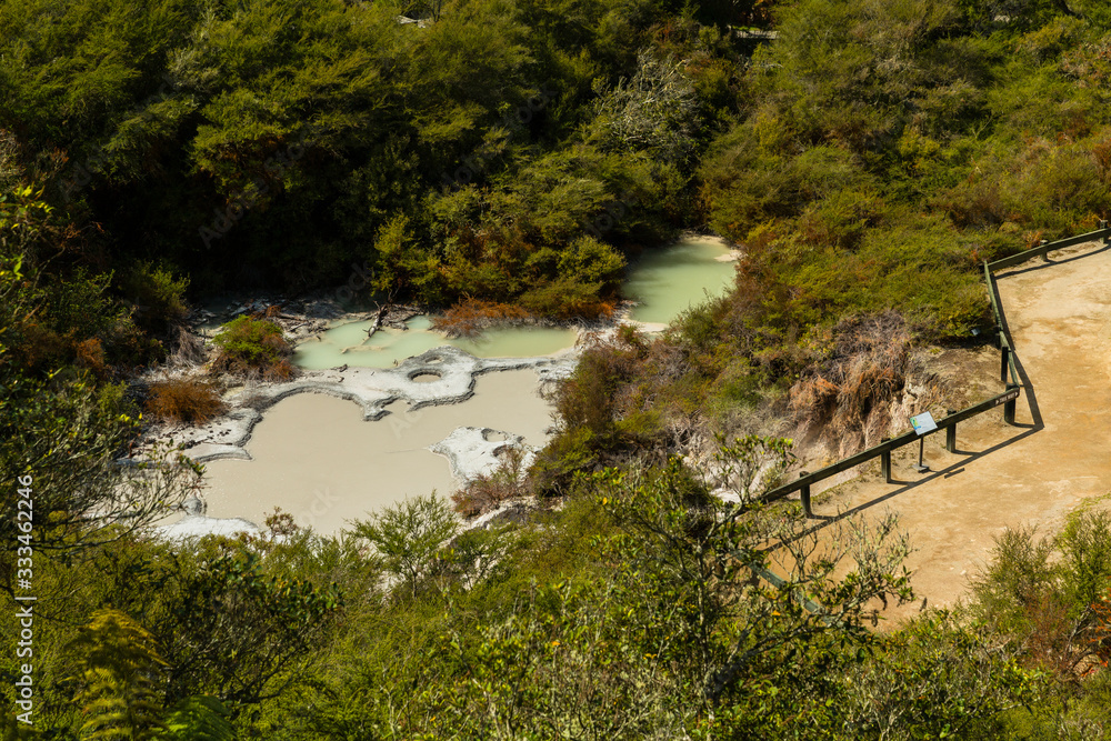 ニュージーランド　タウポ近郊にある地熱地帯のオラケイ･コラコ･ジオサーマル･パーク&ケーブのマッド・プール