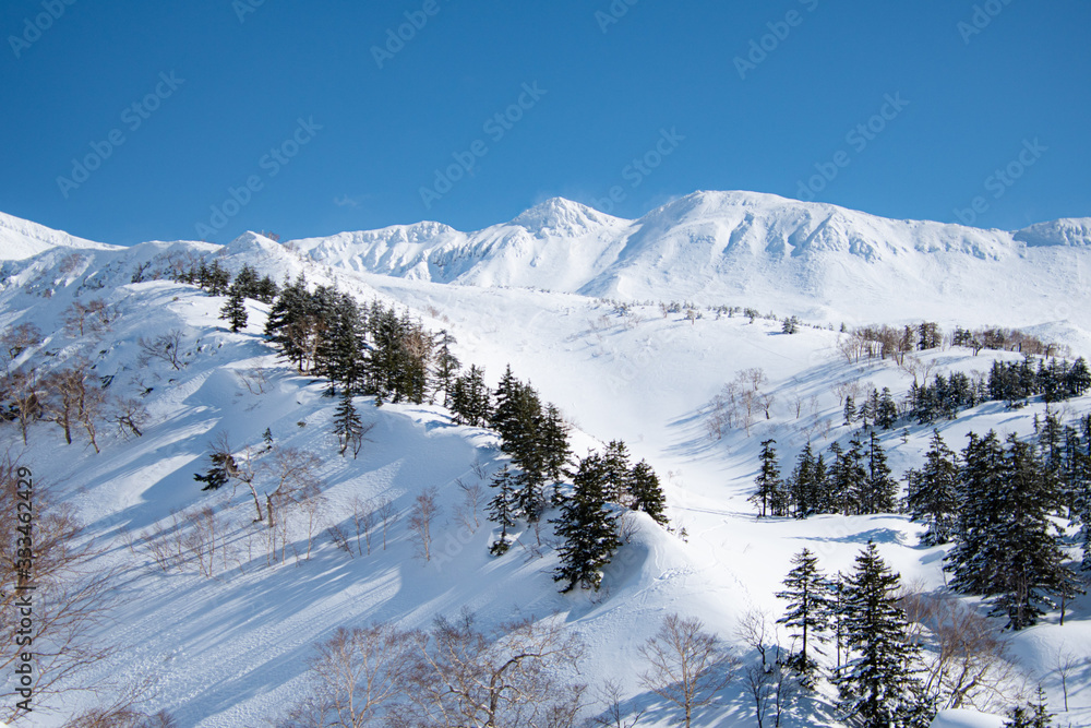 春先の大雪山