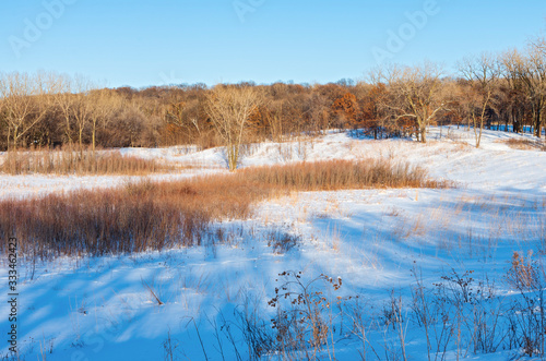 Snowy Prairie Hills and Woodlands of Battle Creek