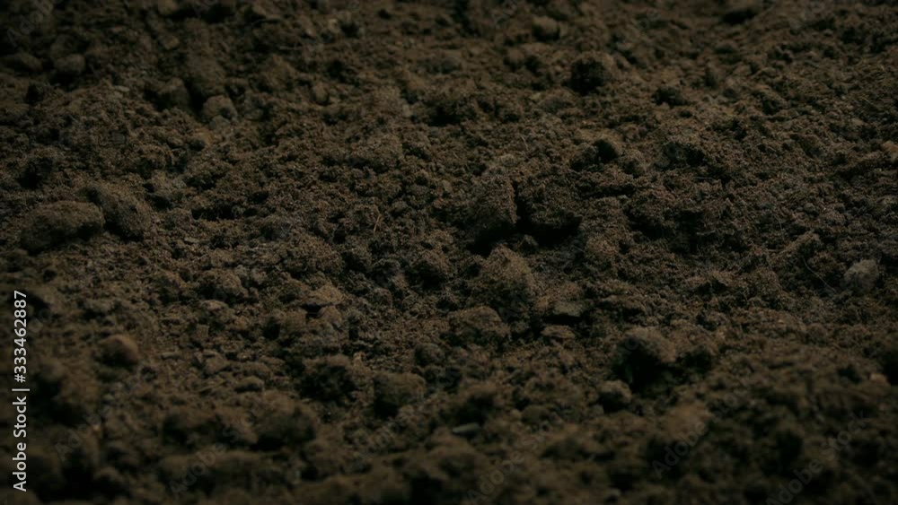 Soil Ground Closeup Moving Shot Soil Ground Closeup Moving Shot