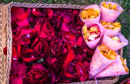 yellow rose petals in pink paper bags, together with red petals in one container, ingredients for mandala formation