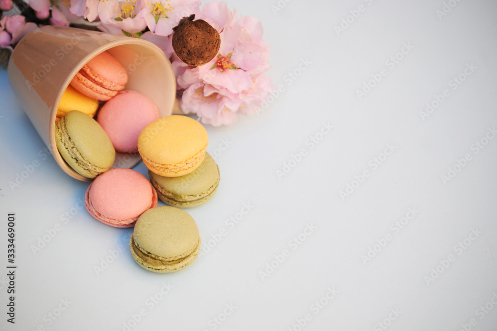 French macaroon. French macaroon.