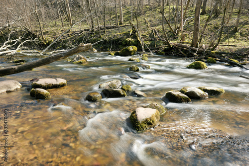 Fast mountain river flows in forest among rocks and mossy stones