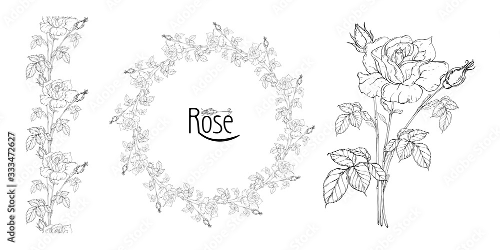 Plakat wektor kwiatowy układ z kwiatami róż i pąkami róż
