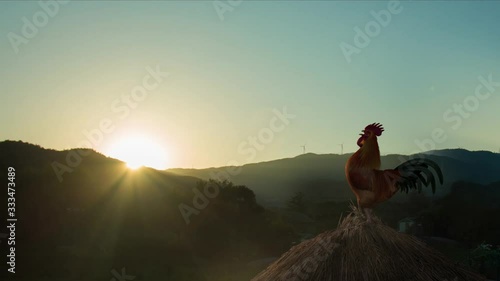 The rooster crowing, the countryside in the mountains illuminated by the rising sun
