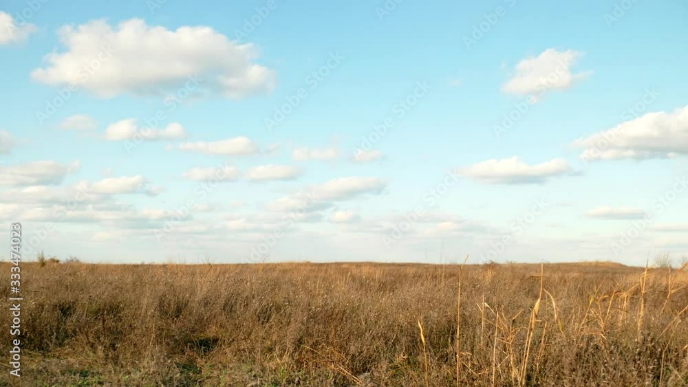 Meadow background. Cloud movement time lapse. Summer pattern. Sunny day. Clean air concept. Nature pattern. Meadow background. Cloud movement time lapse. Summer pattern. Sunny day. Clean air concept. Nature pattern.