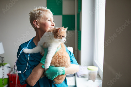 Mature woman in uniform looking through the window and smiling while holding cat in her hands in clinic