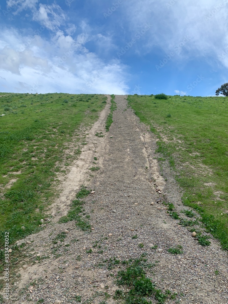 Obraz premium road in the field