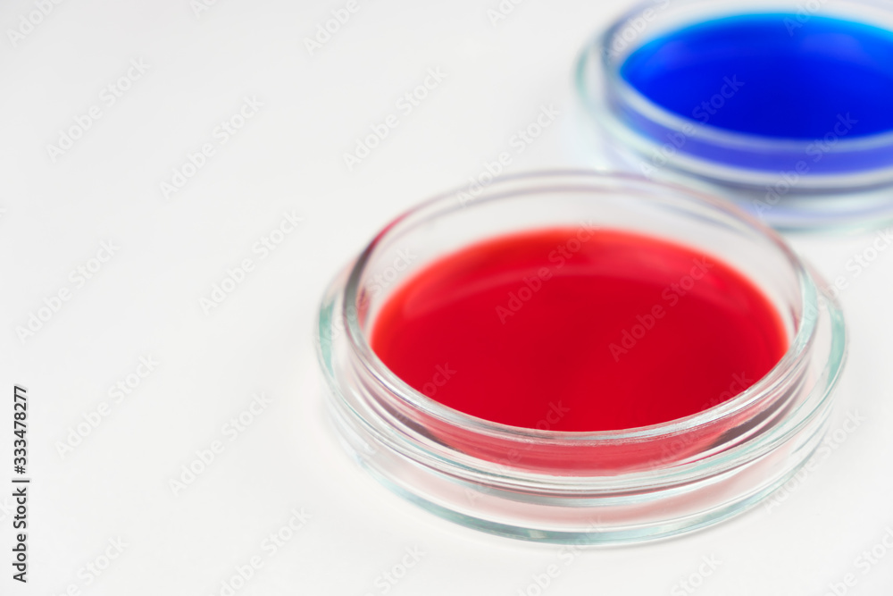 two cups of petri dishes with colored liquid two cups of petri dishes with colored liquid