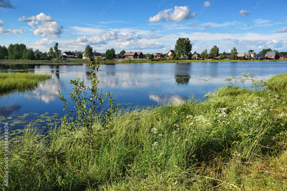 Trees, bushes and grasses on the banks of a beautiful quiet lake. Trees, bushes and grasses on the banks of a beautiful quiet lake.